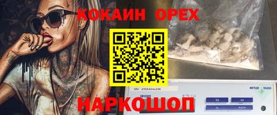 крисы Гай