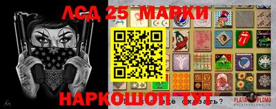 Альфа ПВП Гатчина