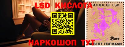 крисы Гай