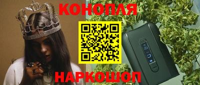 Альфа ПВП Гатчина