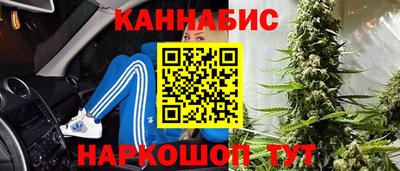 крисы Гай