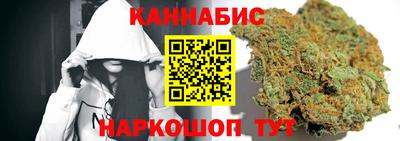 крисы Гай
