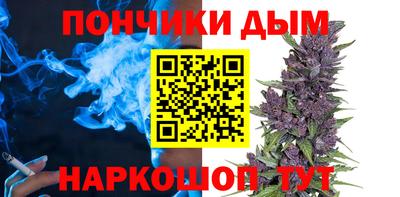 крисы Гай
