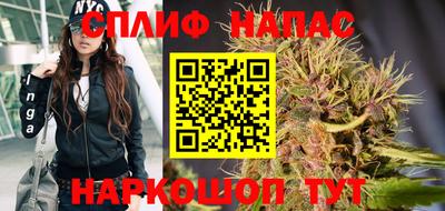 крисы Гай