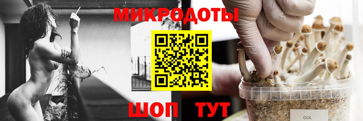 Галлюциногенные грибы MAGIC MUSHROOMS  Вход с VPN  Набережные Челны  Галлюциногенные грибы Psilocybe 